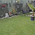 _DSC0010