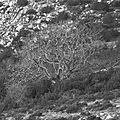 P1090414 - Copie