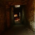 IMG_4288