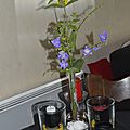 _DSC0025