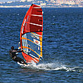 IMG_8306