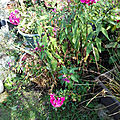 20190803_163851