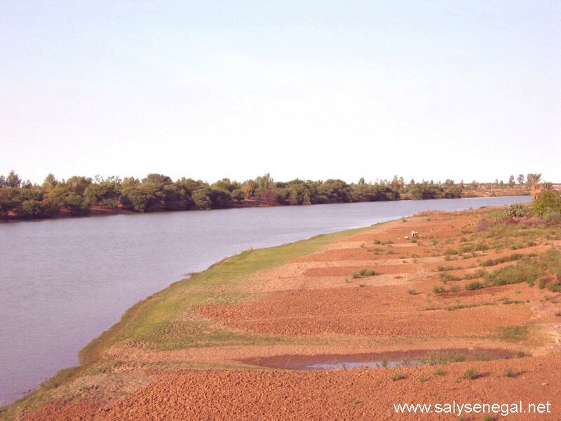 fleuve senegal dagana