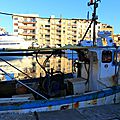 IMG_6500 - Copie