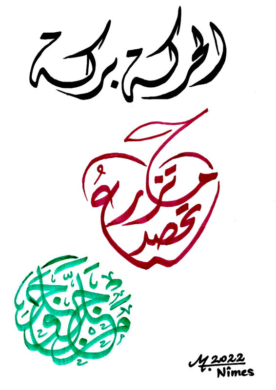 calligraphie proverbes arabes الحركة بركة ما تزرع تحصد من جد وجد