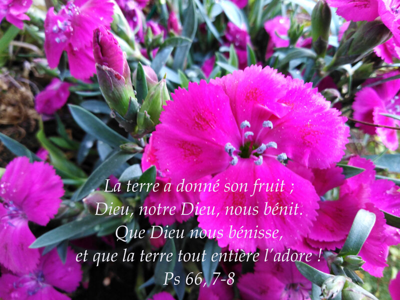 LA TERRE A DONNÉ SON FRUIT... - Y'A UNE ROUTE... Il y a dans le ...