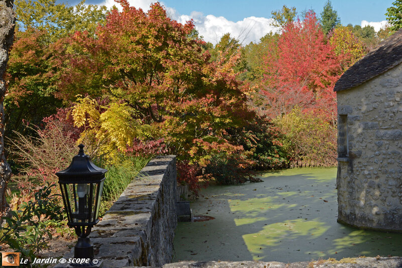 PAT_9040-Berville