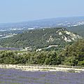 _DSC0627