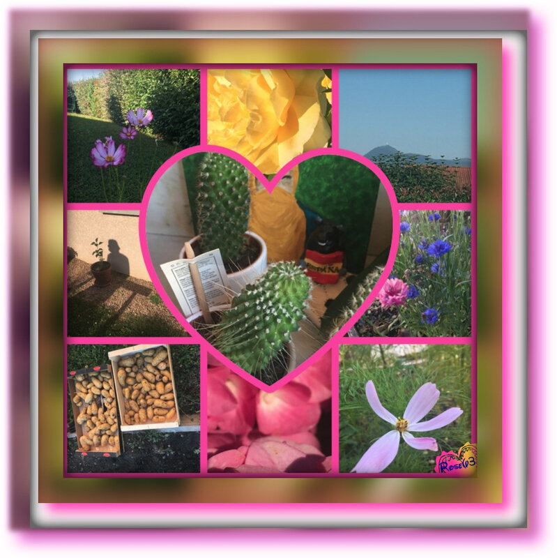 un p'tit tour au jardin juillet 2018