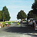 IMGP8154