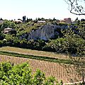 IMG_2601