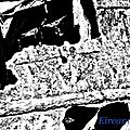 DSC09155