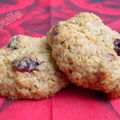 Cookies aux flocons d'avoine, cranberries et pépites de chocolat #1