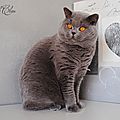 _DSC0700