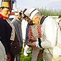 _IGP6594