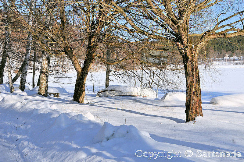 winter_walk_in_hameenlinna-7
