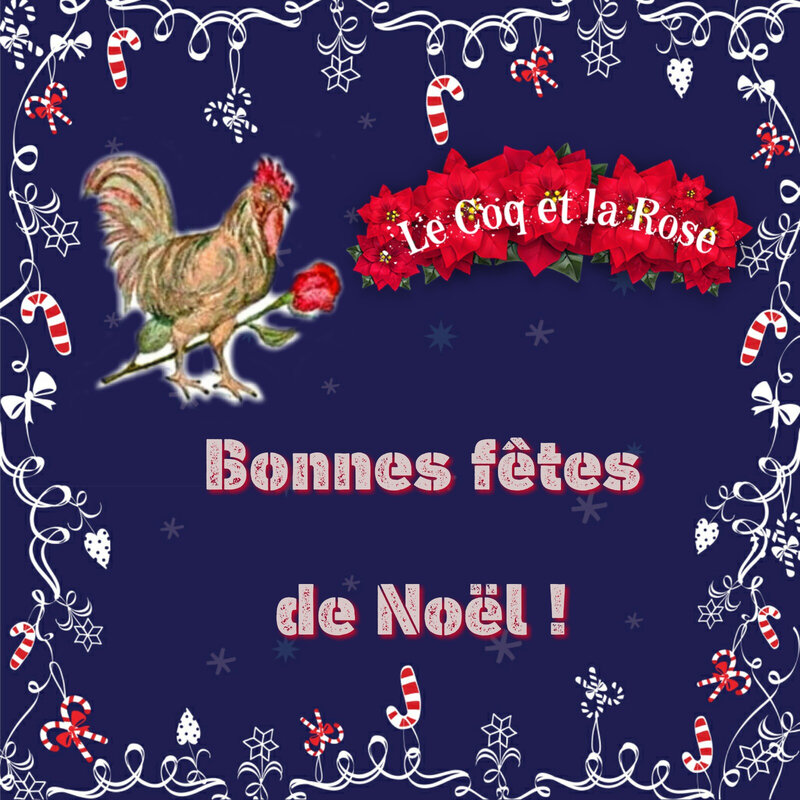 PicsArt_12-24-01
