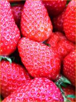 fraises2022