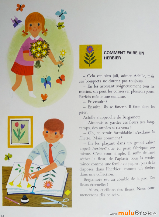 LA-FORET-Alain-Grée-4-Herbier-muluBrok-Vintage