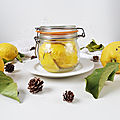 ...citrons confits au sel, fermentation naturelle, lacto fermentation... (ni cru, ni cuit)