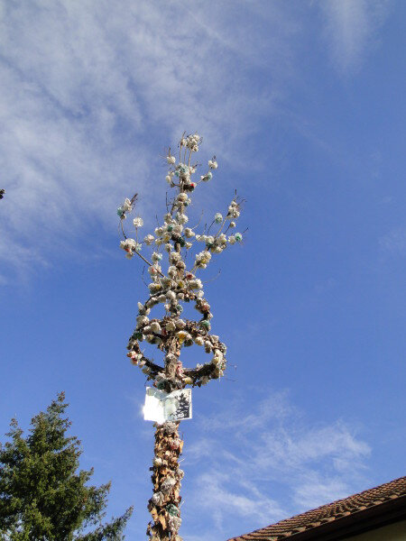 21-arbre-de-mai