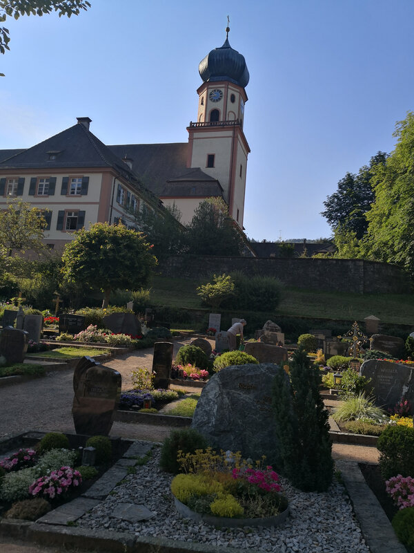 IMG_20180714_085249