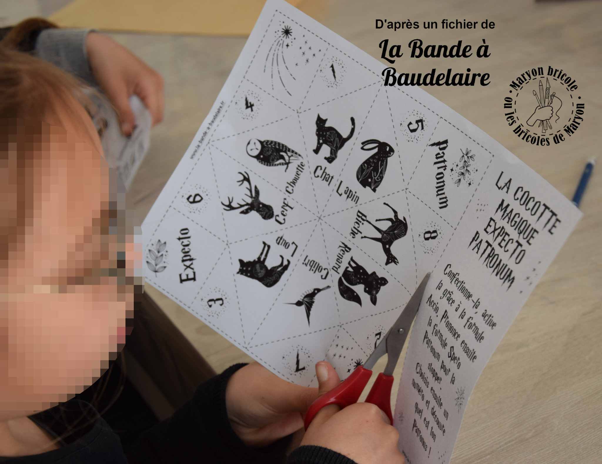 La cocotte magique : Expecto Patronum - La Bande à Baudelaire