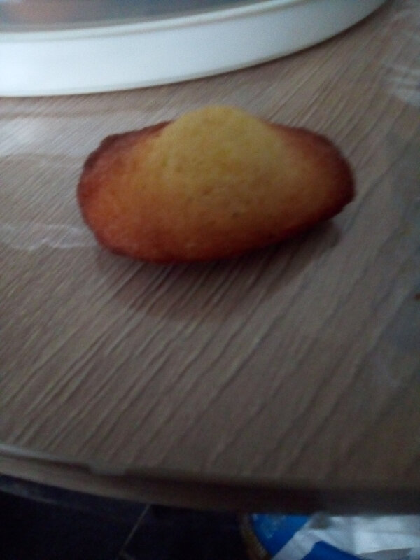 madeleines (1)