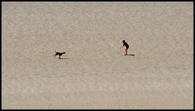 Un belle image de symbiose entre l'homme et son chien