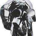 Damien Hirst, Hypnotic Head, Household gloss on plastic skull, : 21 x w: 14 x d: 14 cm. Other Criteria
