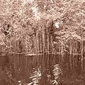 P1040493