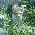 Photo047