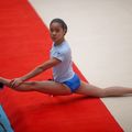 Gymnastes 