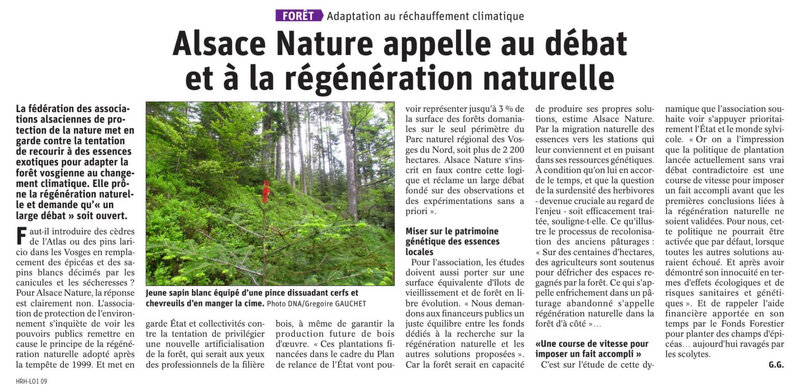 Article DNA Alsace Nature et régénération naturelle de la forêt