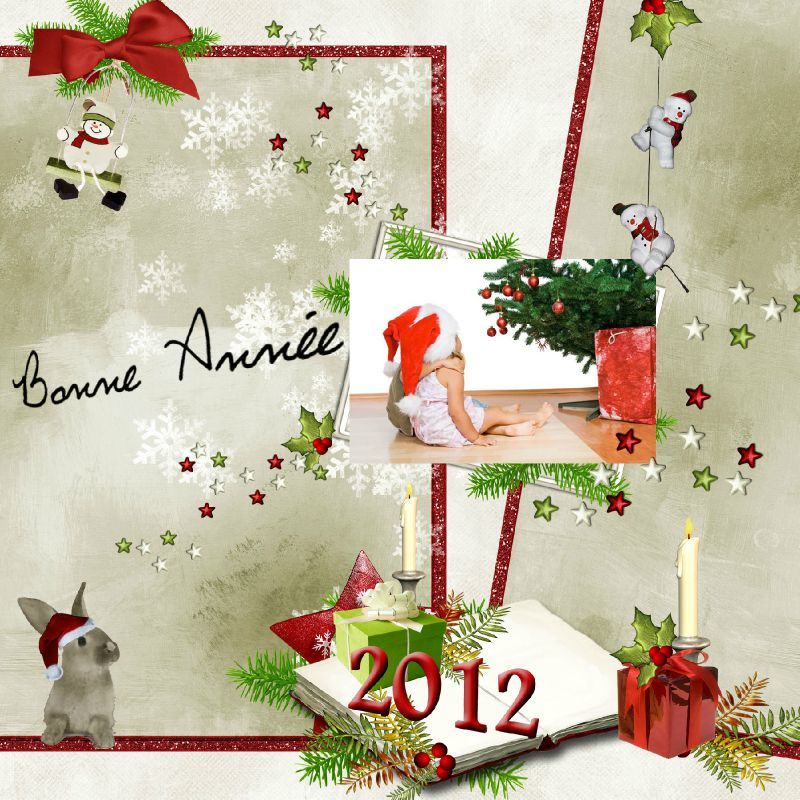 Diplôme de jeu des 12 mois (rose fushia et blanc)... L'atelier d'ElfeNanou