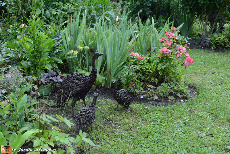PAT_7549-Petit-jardin-de-St-Fiacre