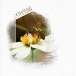 20190525 Gathering B