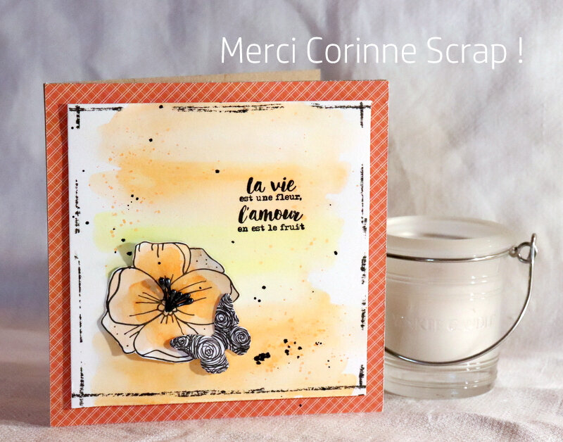 BLOG - CORINNE SCRAP-001