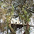 cabane perchée en zad