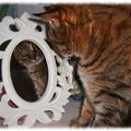 Mia et le miroir