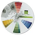 Fabriquer une roue des couleurs et l'utiliser