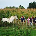 IMGP1107