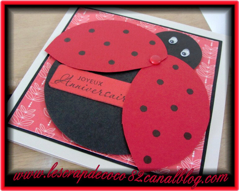 Carte Coccinelle Joyeux Anniversaire Pour Emma Le Scrap De Coco