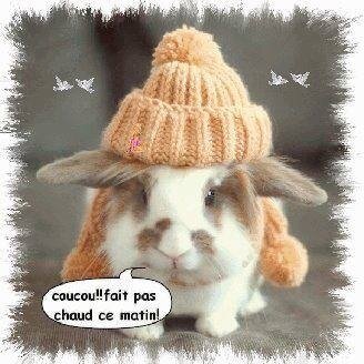 coucoupaschaud