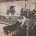 cocarde 1945 vainqueur Louis Arnaud Cafetier meilleur taureau Delbosc