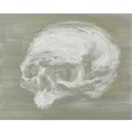 Yan Pei-Ming, Silver Skull, signed, titled and dated 18.05.2005 on the reverse, oil on canvas, 15 3/4 by 19 3/4 in. 40 by 50 cm.
