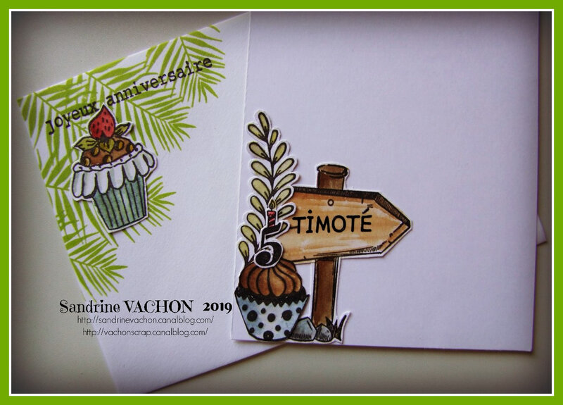 Carte anniv Timoté 612 PCC (2)
