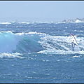 DSCN8873