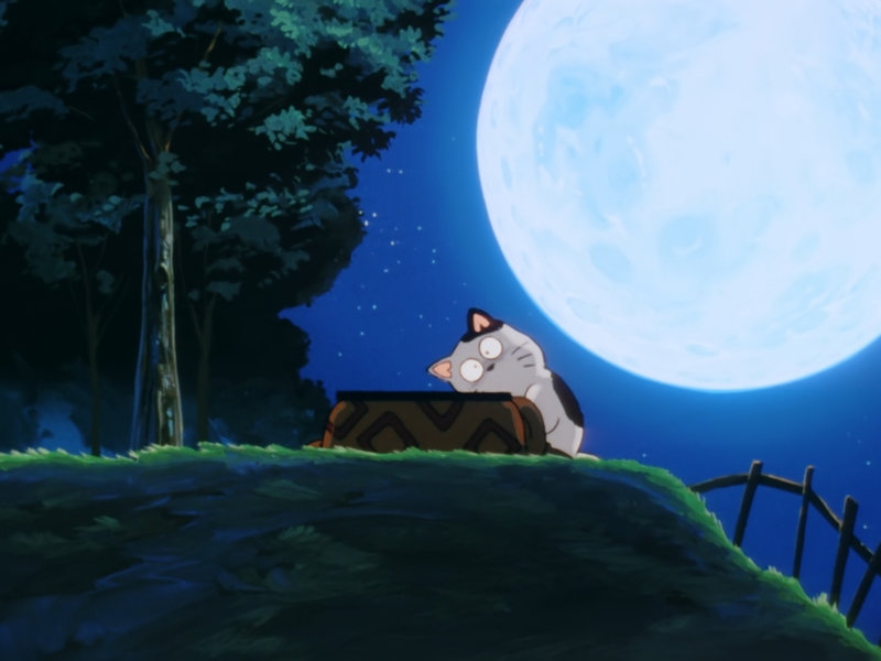 Canalblog Japon Anime Urusei Yatsura Personnages Chat Episode 154