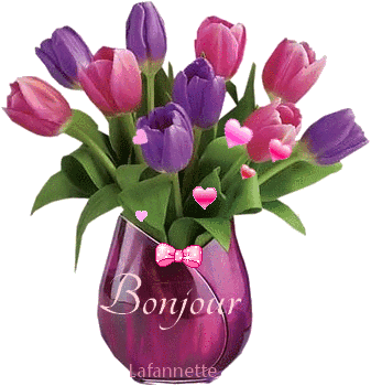 bonjour 1